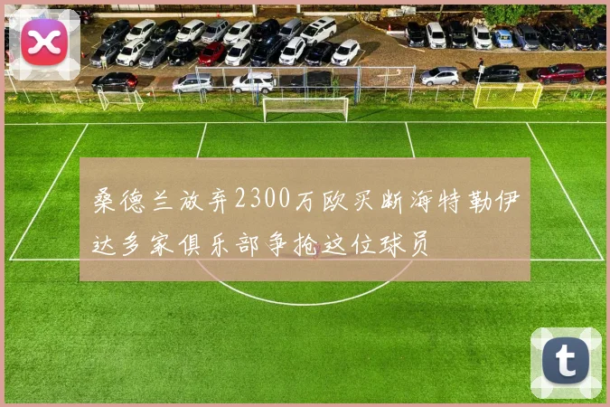 桑德兰放弃2300万欧买断海特勒伊达多家俱乐部争抢这位球员
