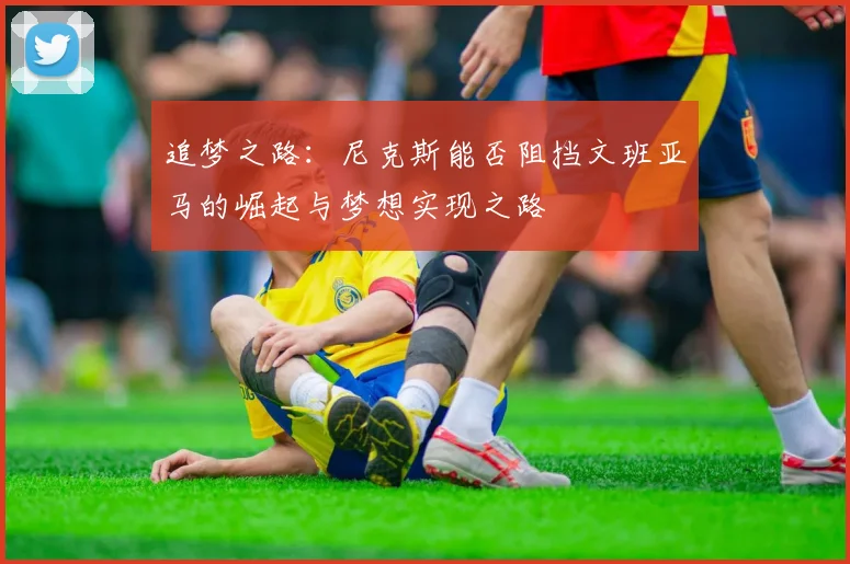 追梦之路：尼克斯能否阻挡文班亚马的崛起与梦想实现之路