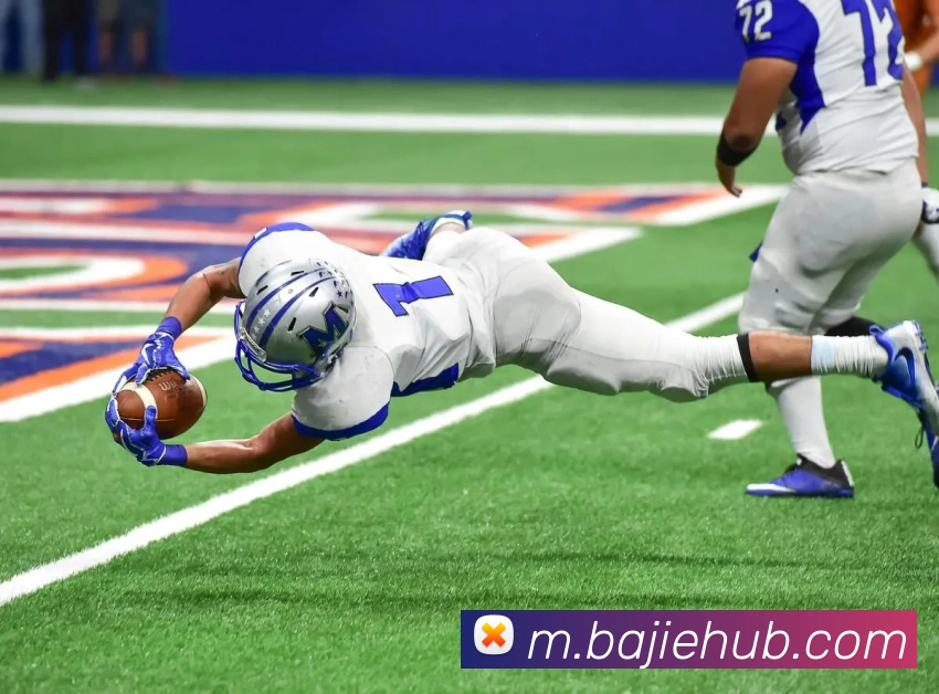 App Interface Preview